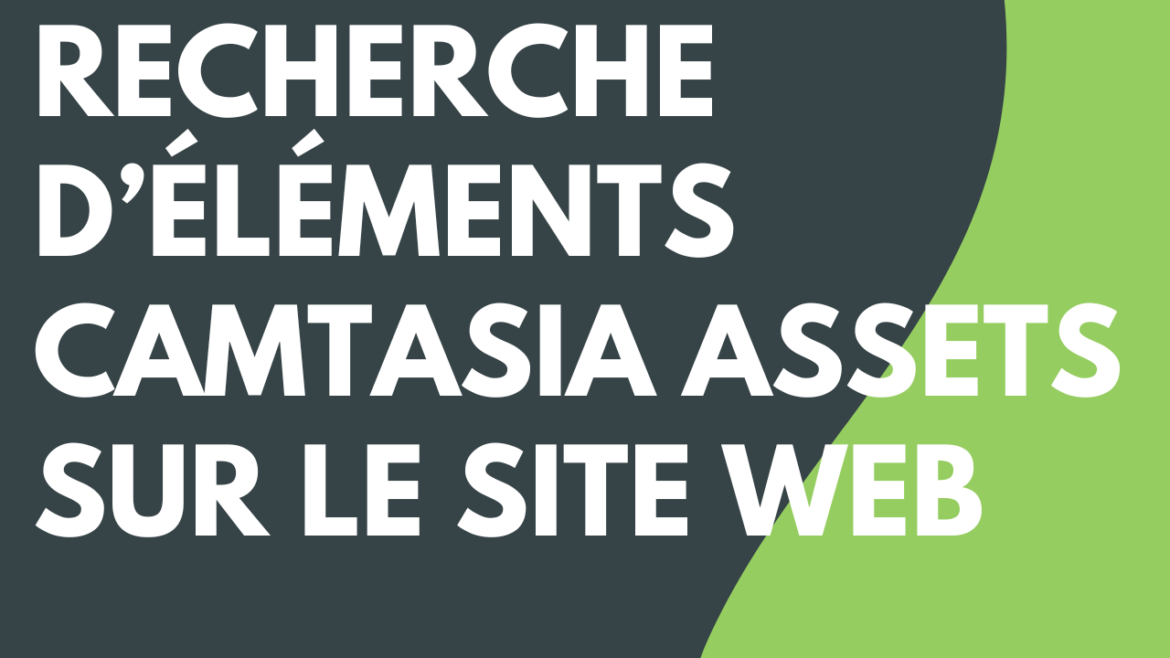 Recherche d’éléments Camtasia Assets sur le site web